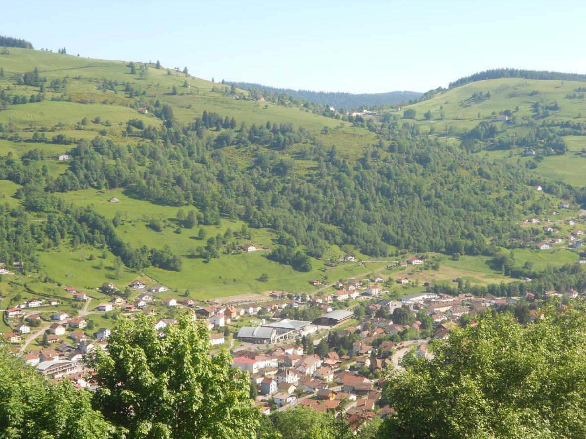 Bouton D Or Apartment La Bresse Exterior foto