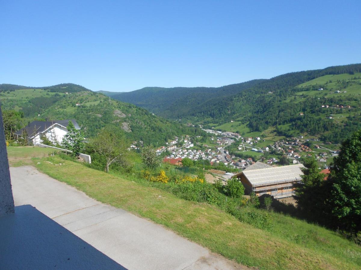 Bouton D Or Apartment La Bresse Exterior foto